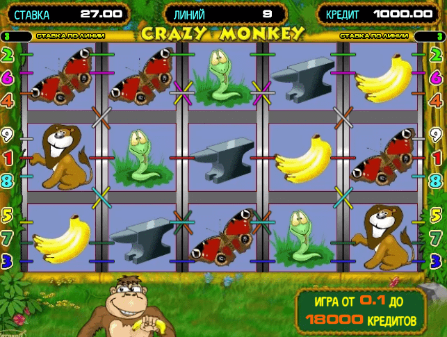 Crazy Monkey Crazy Monkey